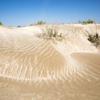 Соль и песок :: Geolog 8
