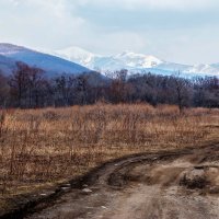 Дороги, которые мы выбираем... :: Нина Борисова