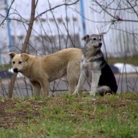 мой город :: Валерий Самородов