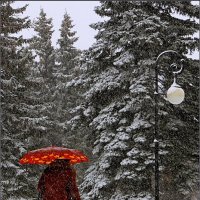 Снег идёт... :: Виктор Колмогоров