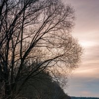 На берегу :: Михаил Фотолюбитель