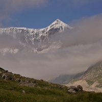 Гестола :: Ольга СПб