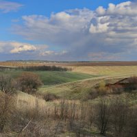 Среднерусская полоса :: галина северинова