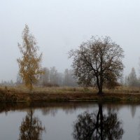 Осень в Ленобласти... :: El Кондукова