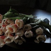 Тюльпаны :: Ирина Горовик