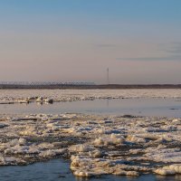 28 апреля Амур ещё "спит". :: Виктор Иванович Чернюк