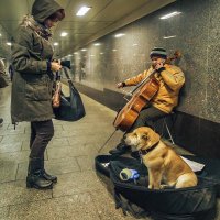 И светлеет душа, и прозренье приходит само :: Ирина Данилова