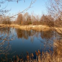 погожий денёк в марте - озеро :: Александр Прокудин