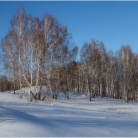 Зимний пейзаж :: Александр Максимов