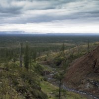 август на Таймыре :: Елизавета Белявцева 