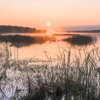 рассветное :: Василий Иваненко