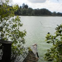 Озеро в Гийовке, Люботин :: Наталья Тимошенко