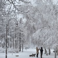 Прогулка... :: Сергей Офицер