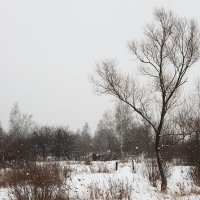 Немного снега летом :: Владимир Потапов