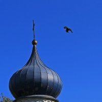 птица над куполом :: Валерий Валвиз