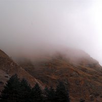 туман :: serg Астахов