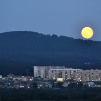 zlatoust :: Андрей Дульцев