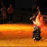 Танцовщица фламенко в Севильи (Испания) :: Alekra 