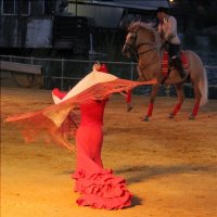 Фламенко шоу в Севильи (Испания) :: Alekra 