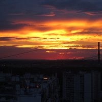 Закат над  Москвой! :: Coфья Юзова