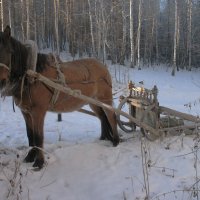 Уральская глубинка :: Сергей Федосеев