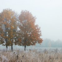 Хрустальное утро октября :: Анастасия Богатова