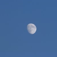 Луна :: Ирина Лапина