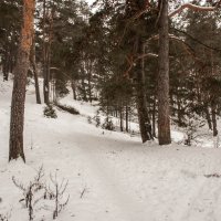 Солотча :: Виталий Качанов