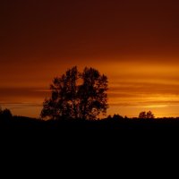 Огненный закат после дождя :: Ирина Жидович