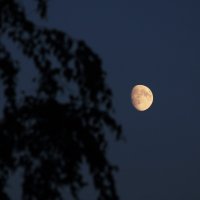 Moon :: Eugene A. Chigrinski