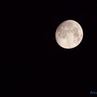 Луна :: Елена Васильева