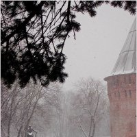 Смоленск. Громовая башня зимой. :: Наталья Портийо