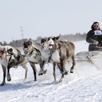 На пределе сил. :: nakip1 