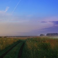 Утро :: Евгения Фролова