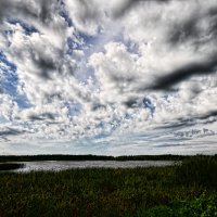 лесное озеро и облака :: Владислав Кравцов