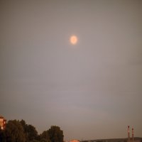 Луна над прудом :: Алексей Зуев