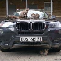 BMW... иХ 5 :: Владимир Балюко