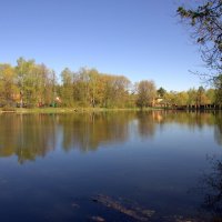 Золотой пруд :: Валерий Самородов