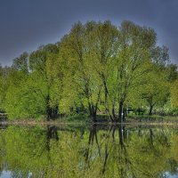 У реки :: Виктор Филиппов