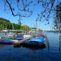 Alster Hamburg :: Nina Yudicheva