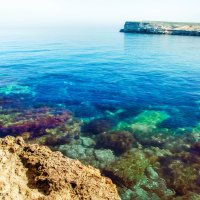 А без моря совсем никак. Просто дышать нечем. :: Фотограф Дарья Скугарева