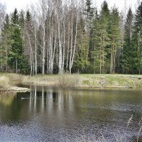 Павловский парк. Круглозальный пруд :: Елена Павлова (Смолова)