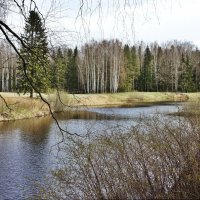 Павловский парк. Круглозальный пруд :: Елена Павлова (Смолова)