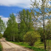 Майская зарисовка. :: Юрий Шувалов