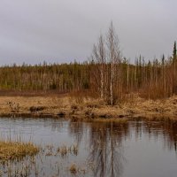 Бобровка весной :: Дмитрий Сиялов