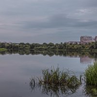 Тихий летний вечер на Дону 2016 :: Юрий Клишин