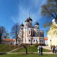 Собор Александра Невского. :: Марина Харченкова