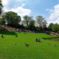 Planten un Blomen. Hamburg :: Nina Yudicheva