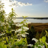 Вид на Озеро.. :: Дмитрий Петренко