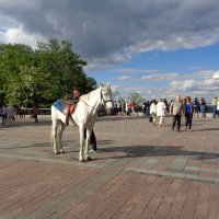 Красавица :: Лара Амелина